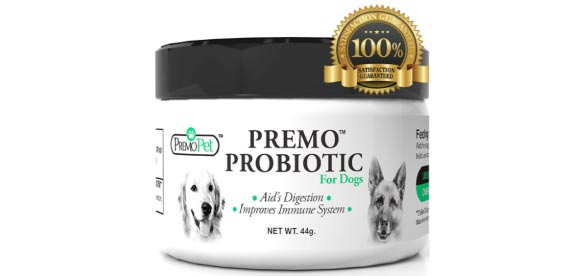 premo pet probiotic for puppy